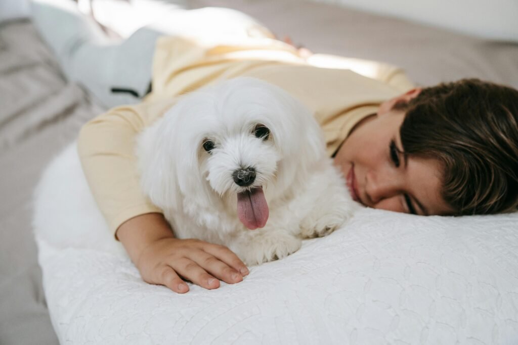Happy dog and cat with pet supplies in New Zealand giveaway